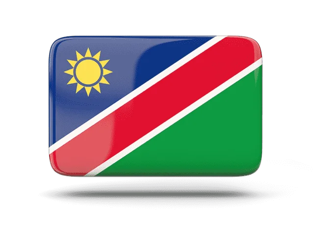 India visa for Namibian  citizens